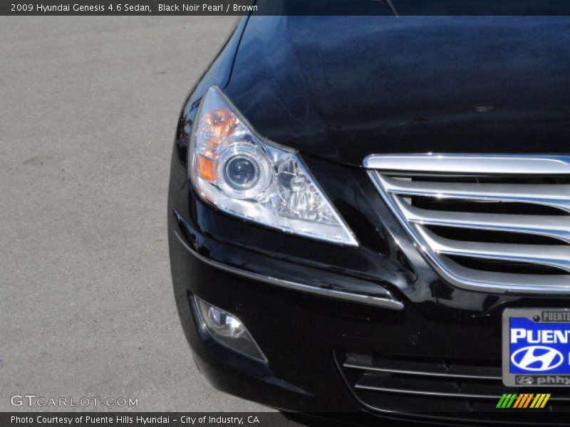 Black Noir Pearl / Brown 2009 Hyundai Genesis 4.6 Sedan