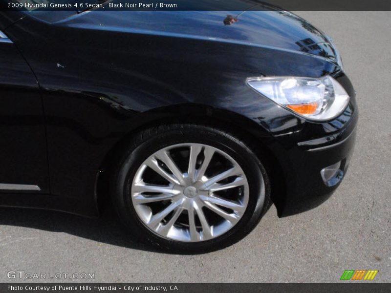 Black Noir Pearl / Brown 2009 Hyundai Genesis 4.6 Sedan