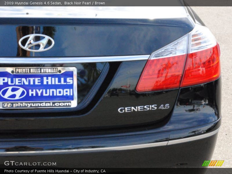 Black Noir Pearl / Brown 2009 Hyundai Genesis 4.6 Sedan