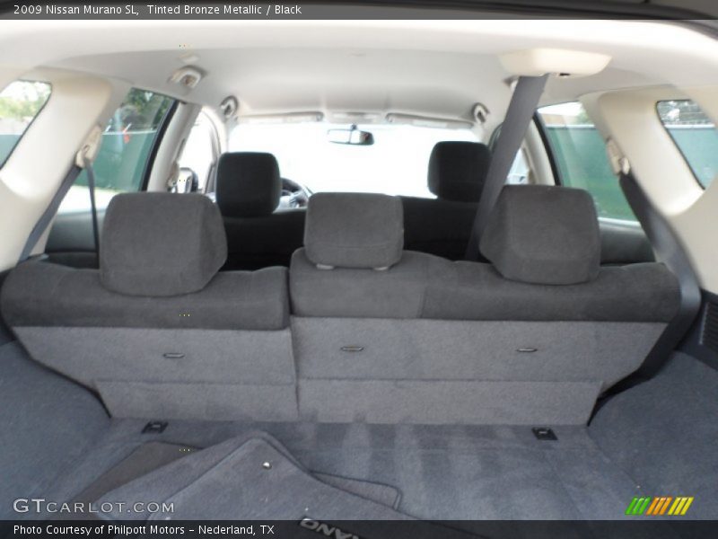 Tinted Bronze Metallic / Black 2009 Nissan Murano SL