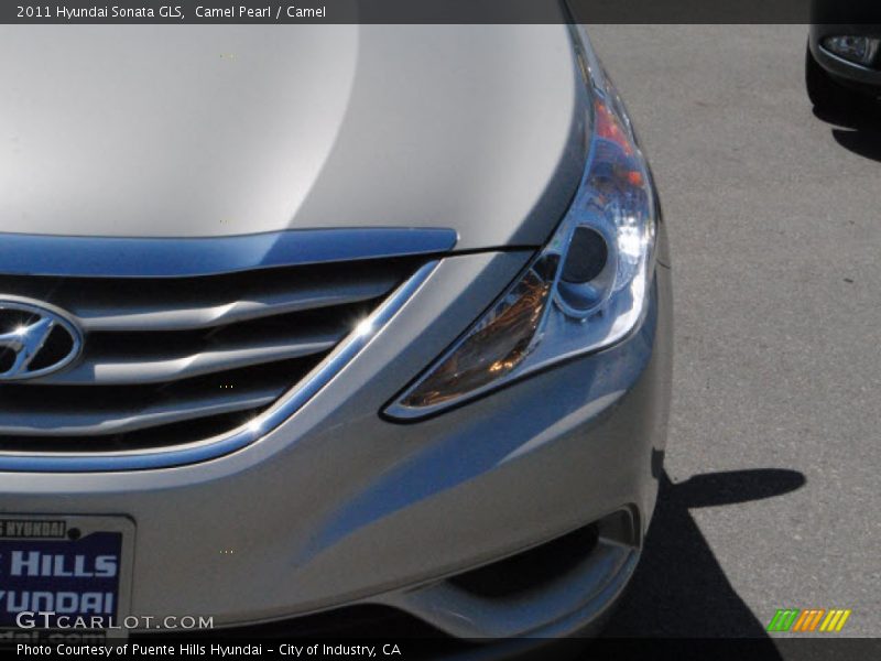 Camel Pearl / Camel 2011 Hyundai Sonata GLS