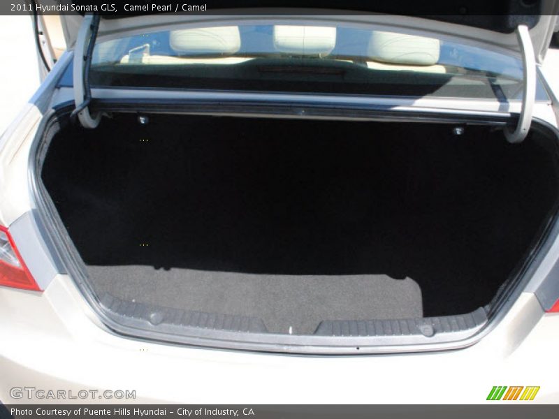 Camel Pearl / Camel 2011 Hyundai Sonata GLS