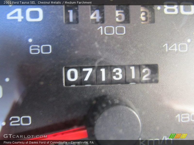 Chestnut Metallic / Medium Parchment 2001 Ford Taurus SES