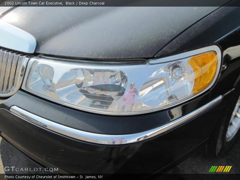 Black / Deep Charcoal 2002 Lincoln Town Car Executive