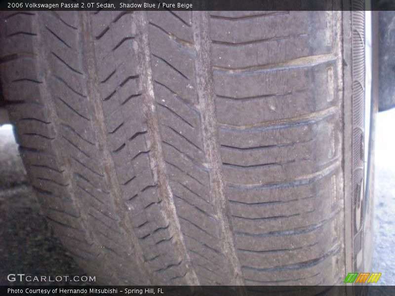 Shadow Blue / Pure Beige 2006 Volkswagen Passat 2.0T Sedan