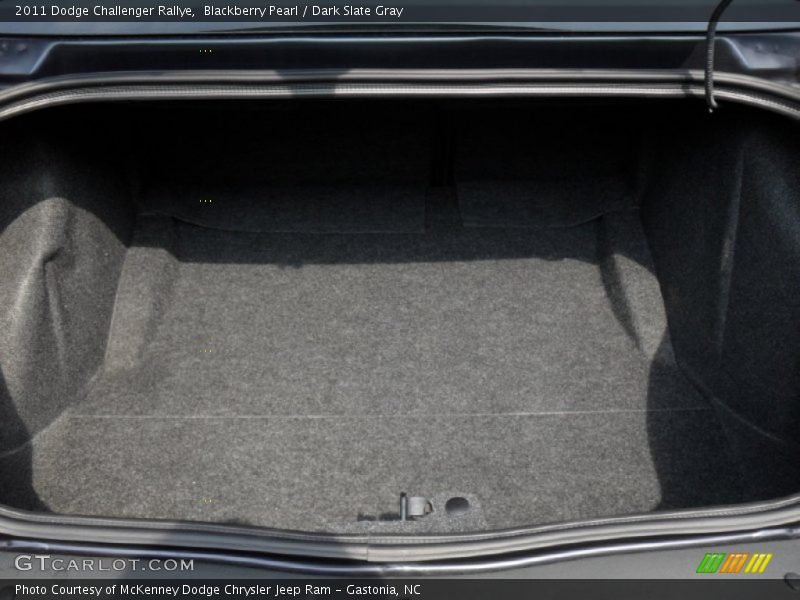 Blackberry Pearl / Dark Slate Gray 2011 Dodge Challenger Rallye