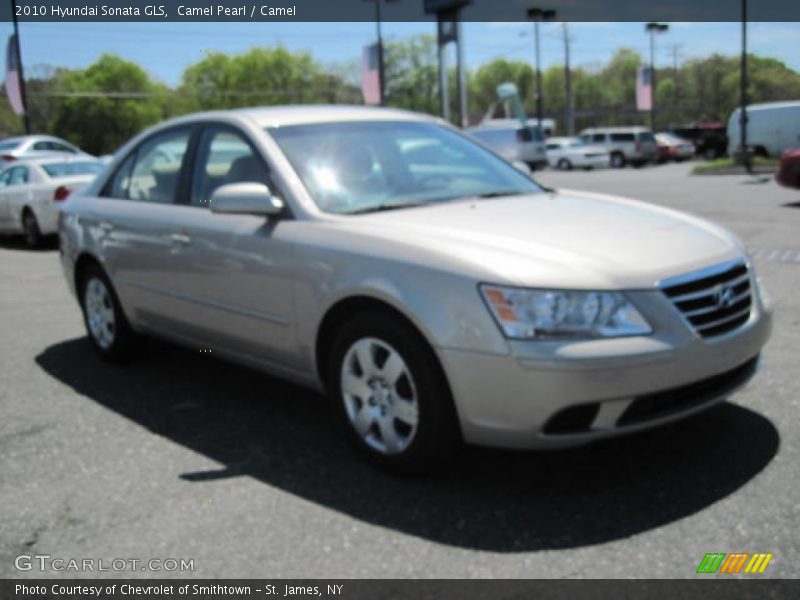 Camel Pearl / Camel 2010 Hyundai Sonata GLS