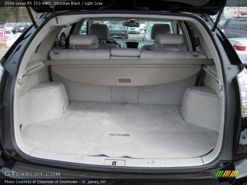Obsidian Black / Light Gray 2009 Lexus RX 350 AWD