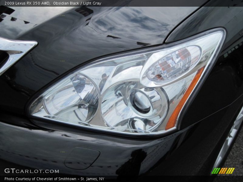 Obsidian Black / Light Gray 2009 Lexus RX 350 AWD