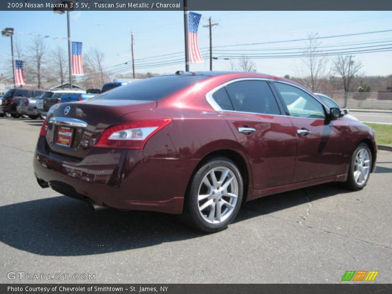 Tuscan Sun Metallic / Charcoal 2009 Nissan Maxima 3.5 SV