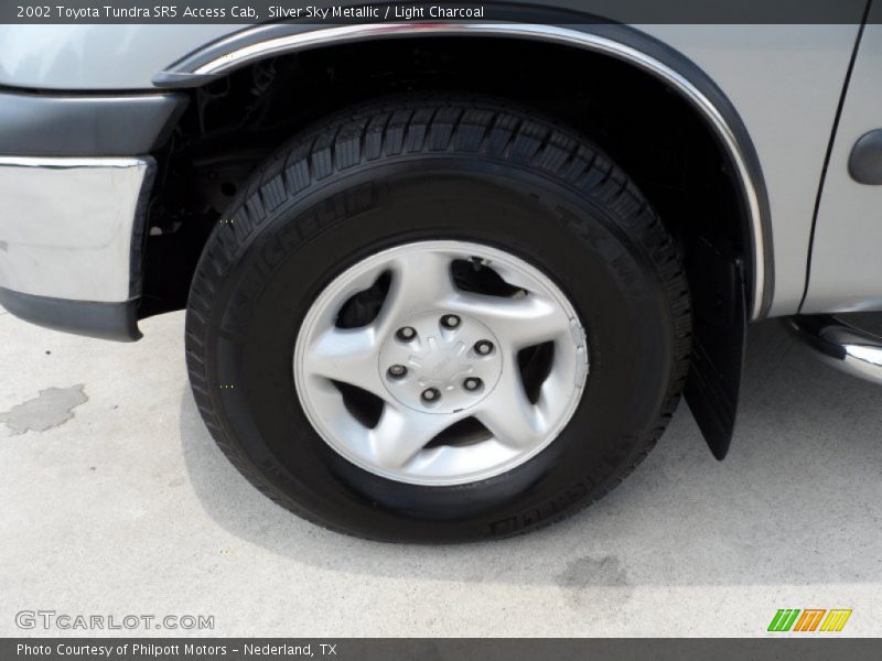 Silver Sky Metallic / Light Charcoal 2002 Toyota Tundra SR5 Access Cab
