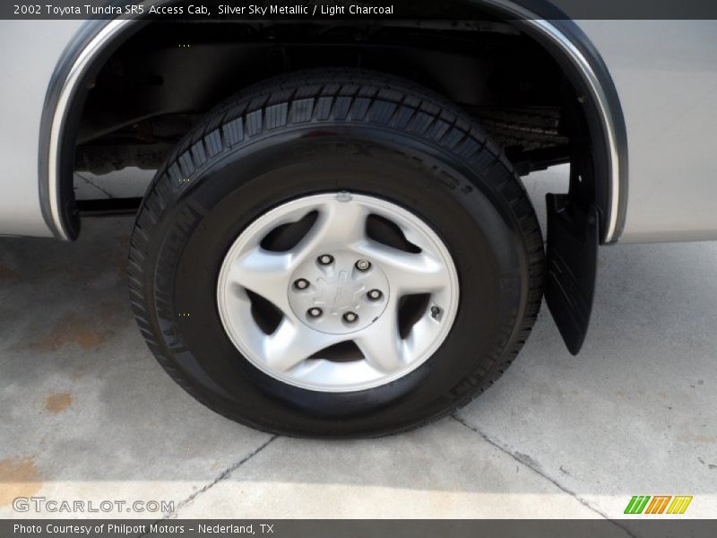 Silver Sky Metallic / Light Charcoal 2002 Toyota Tundra SR5 Access Cab