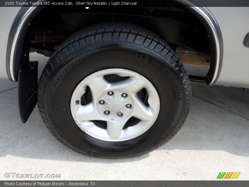 Silver Sky Metallic / Light Charcoal 2002 Toyota Tundra SR5 Access Cab