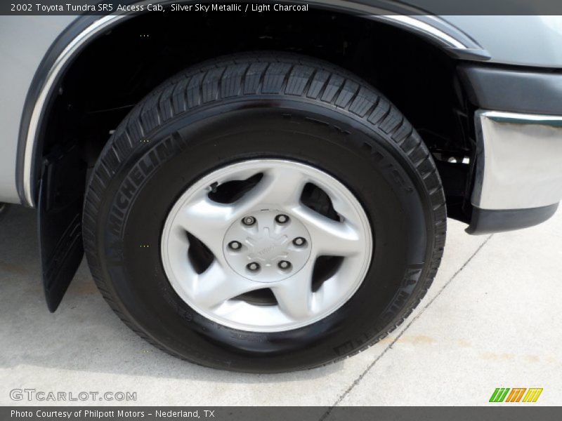 Silver Sky Metallic / Light Charcoal 2002 Toyota Tundra SR5 Access Cab