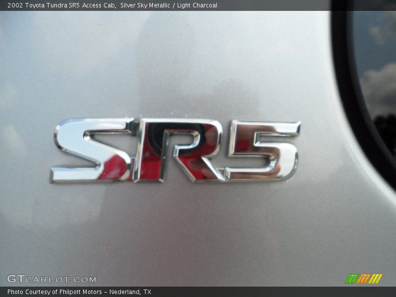 Silver Sky Metallic / Light Charcoal 2002 Toyota Tundra SR5 Access Cab