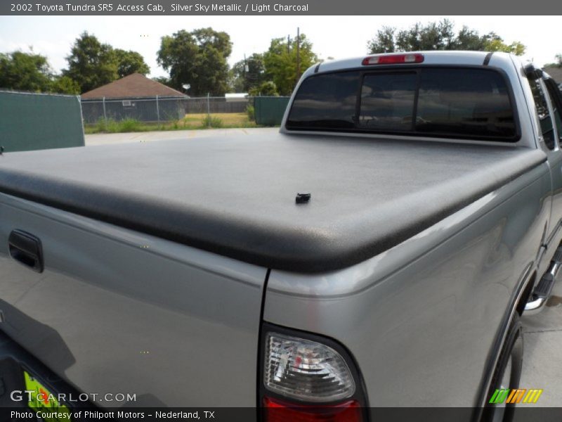 Silver Sky Metallic / Light Charcoal 2002 Toyota Tundra SR5 Access Cab