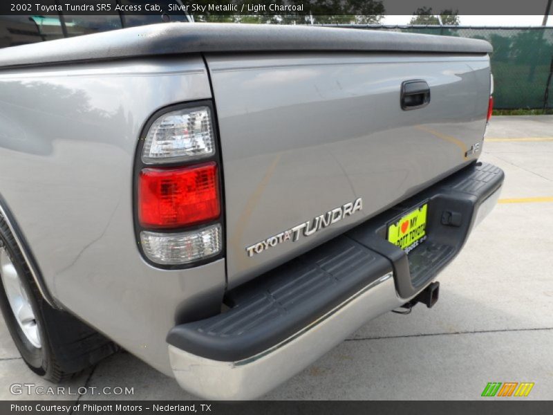 Silver Sky Metallic / Light Charcoal 2002 Toyota Tundra SR5 Access Cab