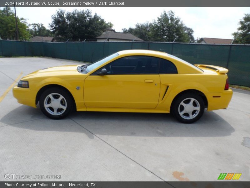 Screaming Yellow / Dark Charcoal 2004 Ford Mustang V6 Coupe