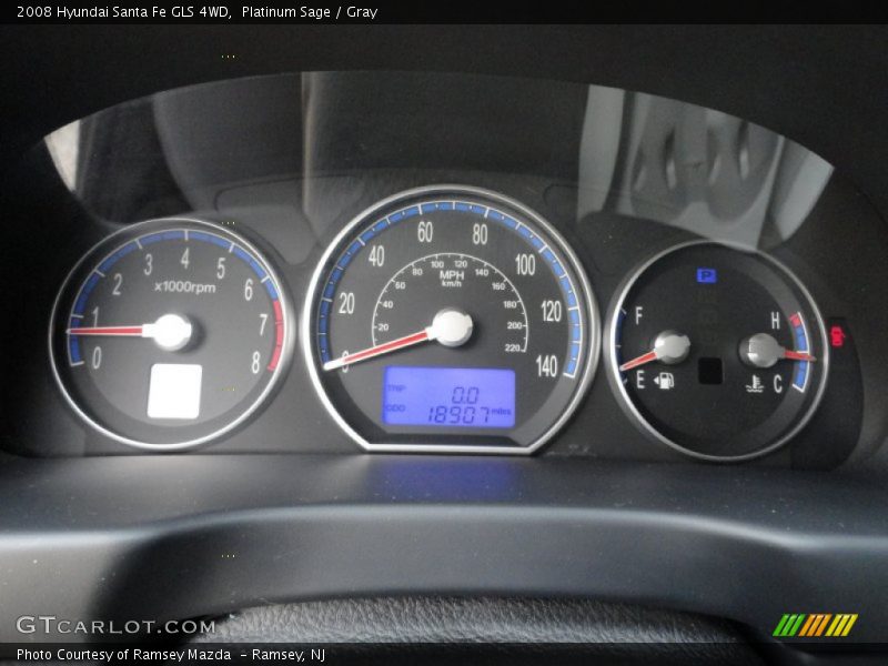 Platinum Sage / Gray 2008 Hyundai Santa Fe GLS 4WD