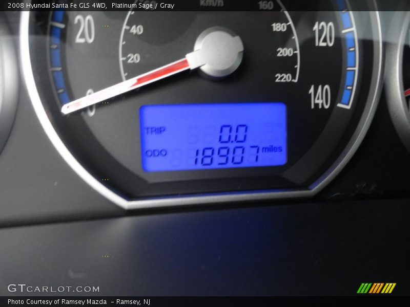 Platinum Sage / Gray 2008 Hyundai Santa Fe GLS 4WD