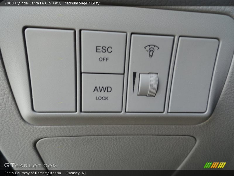 Platinum Sage / Gray 2008 Hyundai Santa Fe GLS 4WD