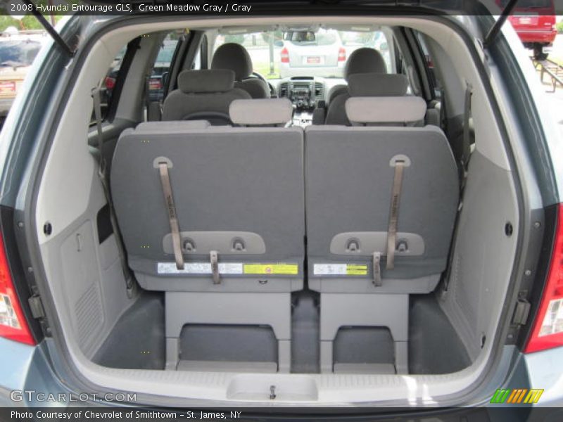 Green Meadow Gray / Gray 2008 Hyundai Entourage GLS