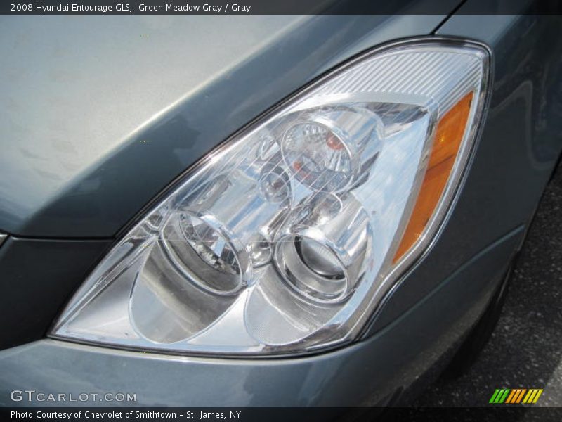 Green Meadow Gray / Gray 2008 Hyundai Entourage GLS