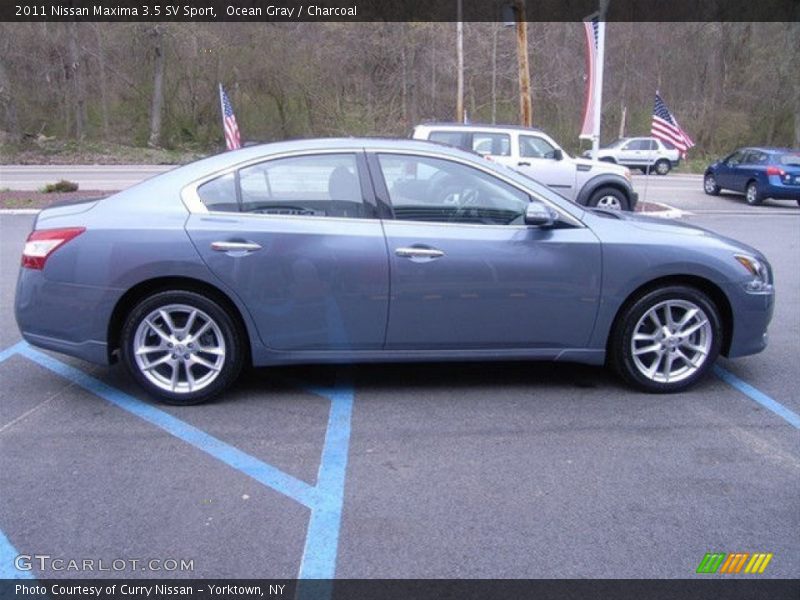 Ocean Gray / Charcoal 2011 Nissan Maxima 3.5 SV Sport