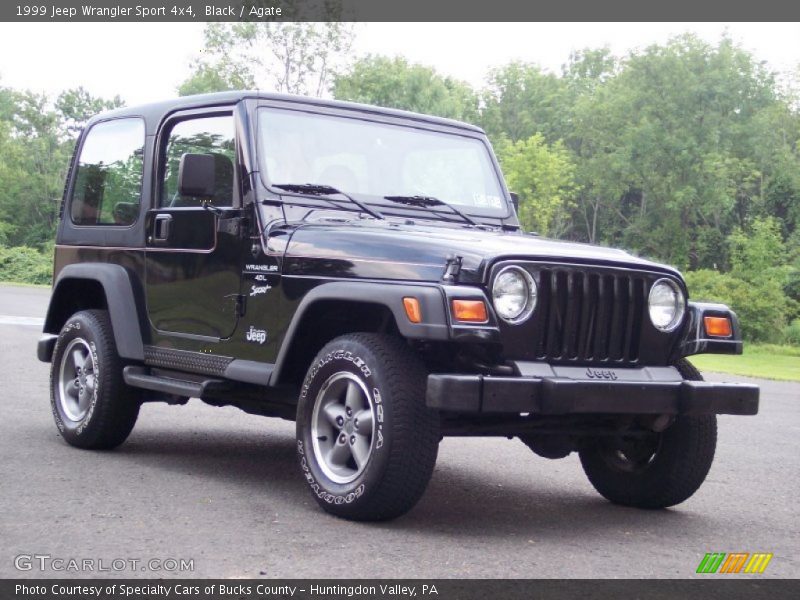 Black / Agate 1999 Jeep Wrangler Sport 4x4