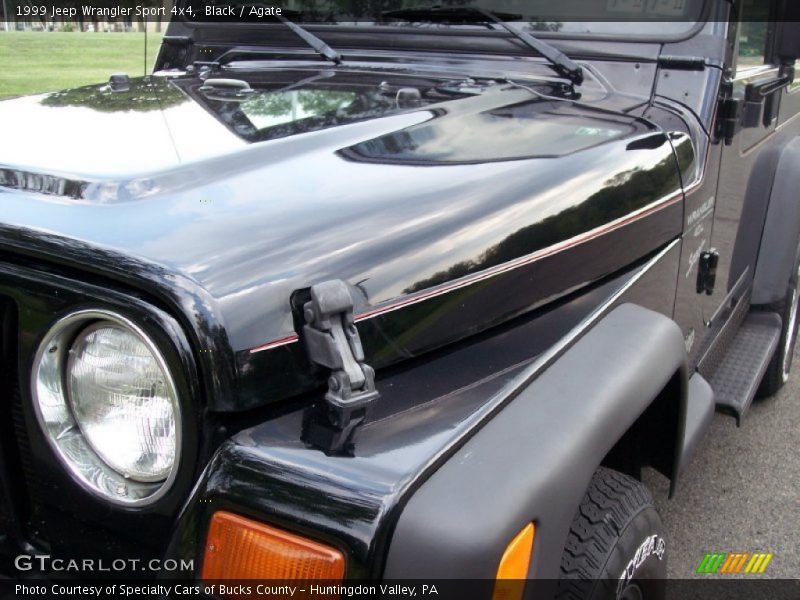 Black / Agate 1999 Jeep Wrangler Sport 4x4