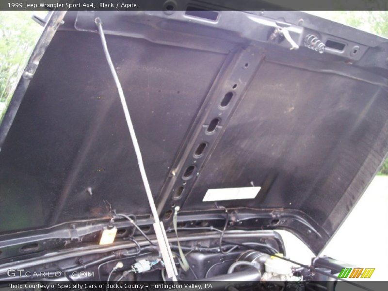 Black / Agate 1999 Jeep Wrangler Sport 4x4