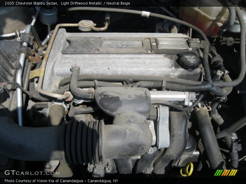 Light Driftwood Metallic / Neutral Beige 2005 Chevrolet Malibu Sedan