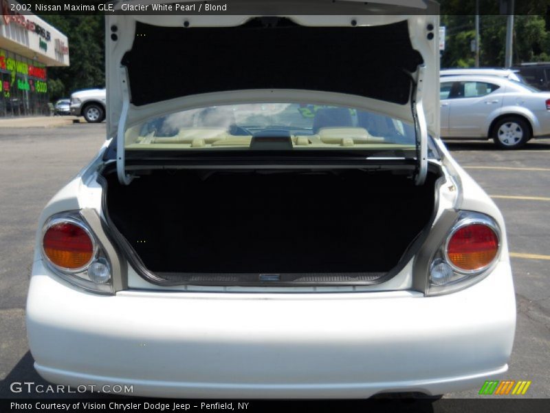 Glacier White Pearl / Blond 2002 Nissan Maxima GLE