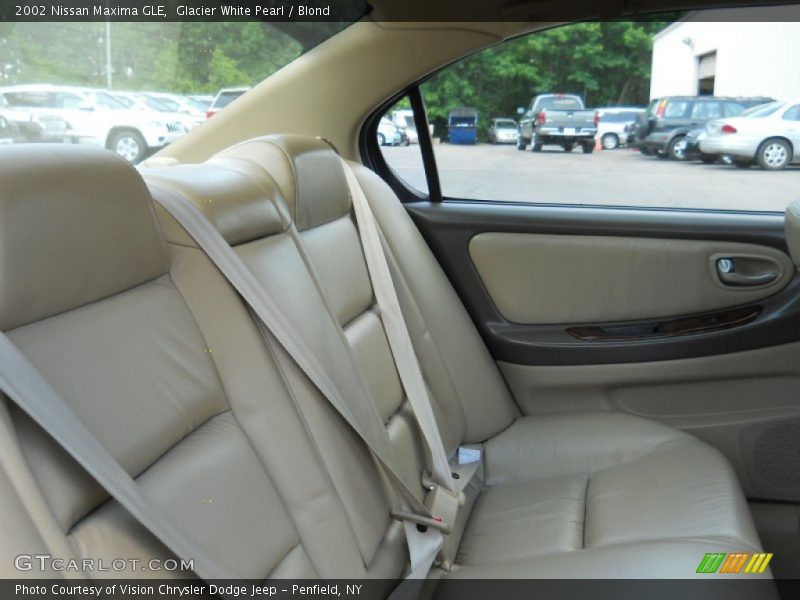  2002 Maxima GLE Blond Interior