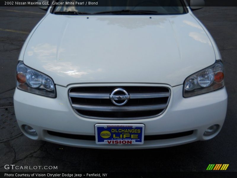 Glacier White Pearl / Blond 2002 Nissan Maxima GLE