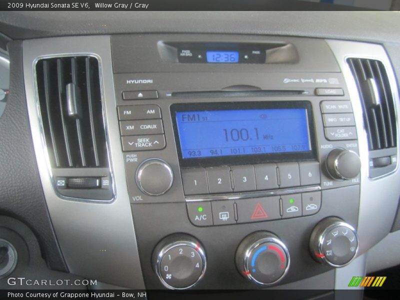 Willow Gray / Gray 2009 Hyundai Sonata SE V6