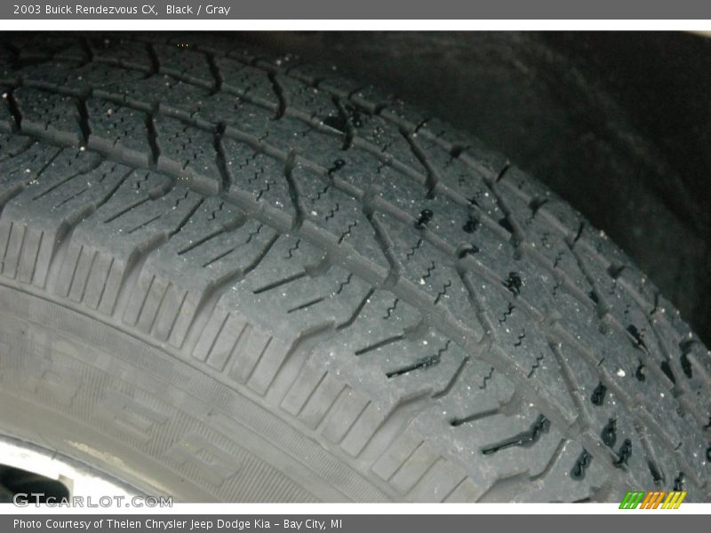 Black / Gray 2003 Buick Rendezvous CX