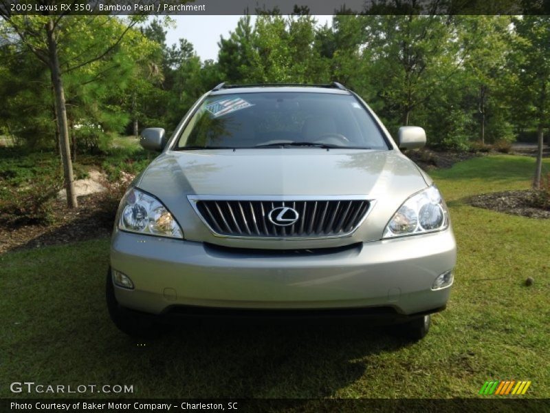Bamboo Pearl / Parchment 2009 Lexus RX 350
