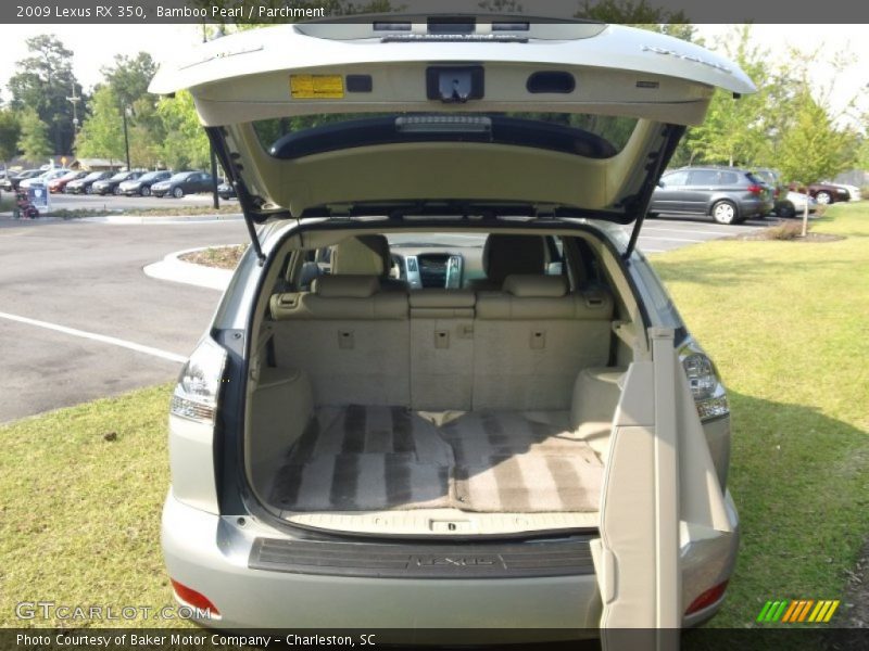 Bamboo Pearl / Parchment 2009 Lexus RX 350