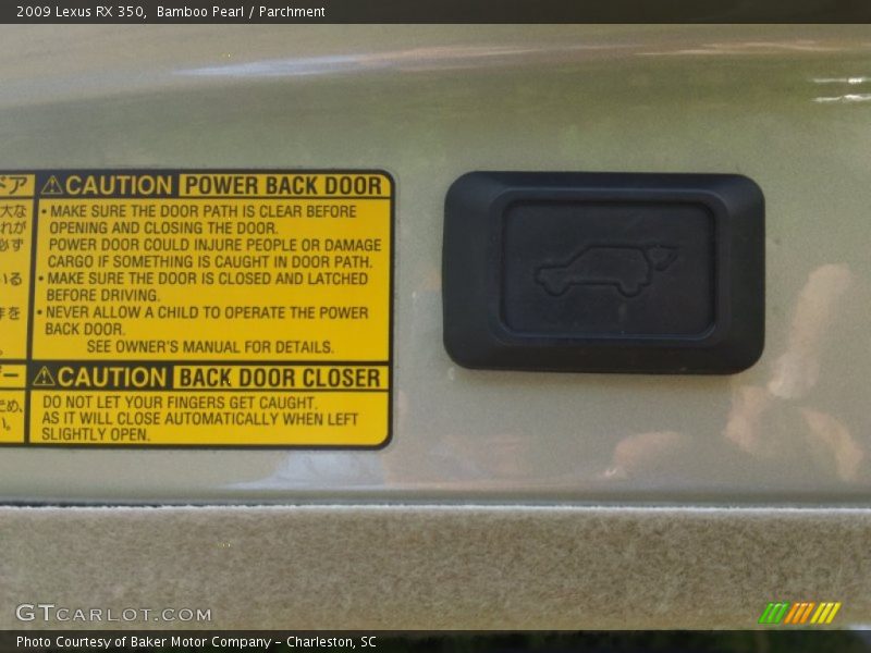 Bamboo Pearl / Parchment 2009 Lexus RX 350