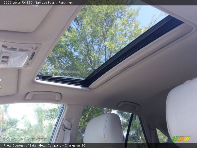 Bamboo Pearl / Parchment 2009 Lexus RX 350