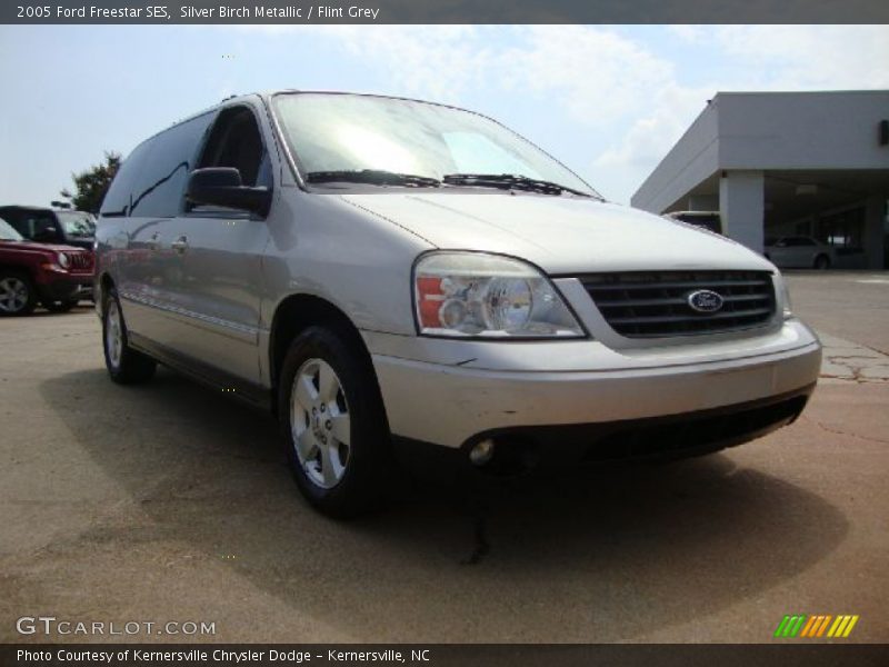 Silver Birch Metallic / Flint Grey 2005 Ford Freestar SES