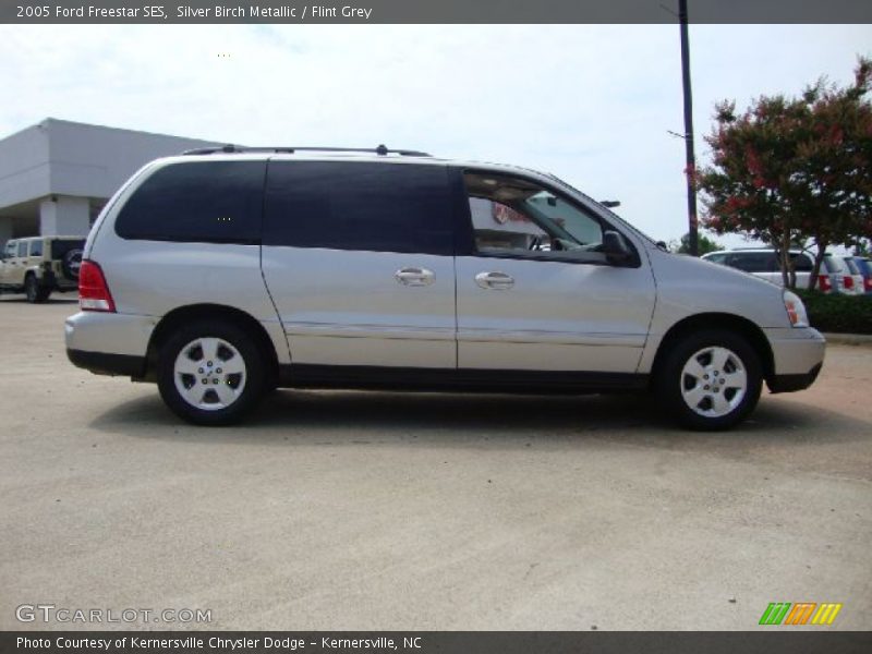 Silver Birch Metallic / Flint Grey 2005 Ford Freestar SES