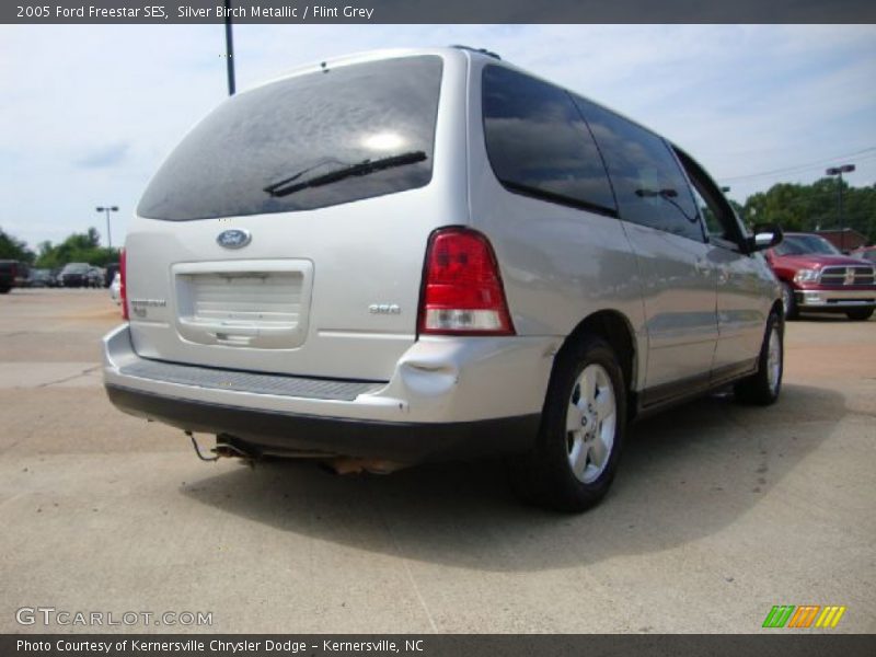 Silver Birch Metallic / Flint Grey 2005 Ford Freestar SES