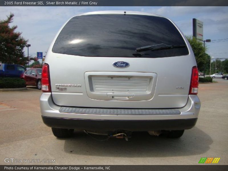 Silver Birch Metallic / Flint Grey 2005 Ford Freestar SES