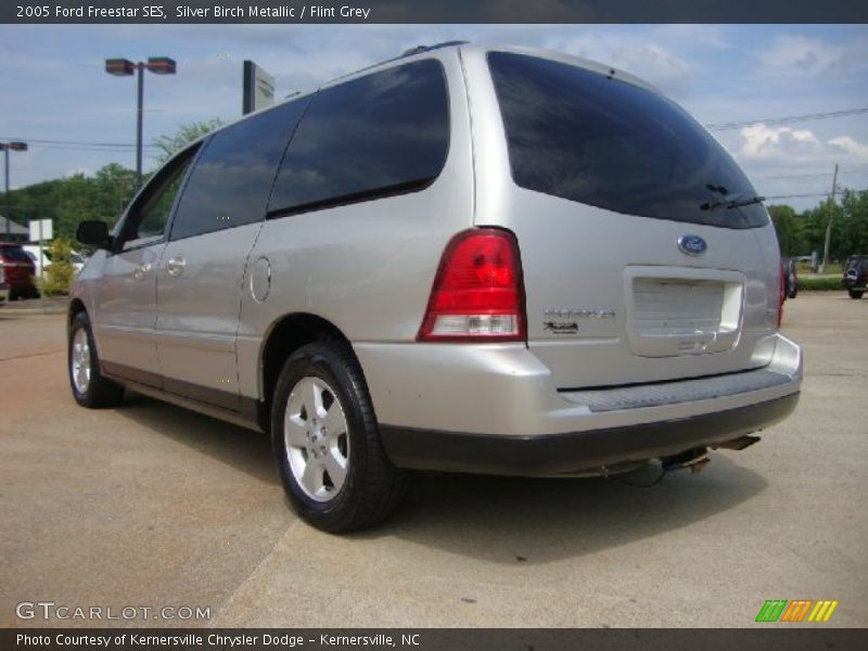 Silver Birch Metallic / Flint Grey 2005 Ford Freestar SES