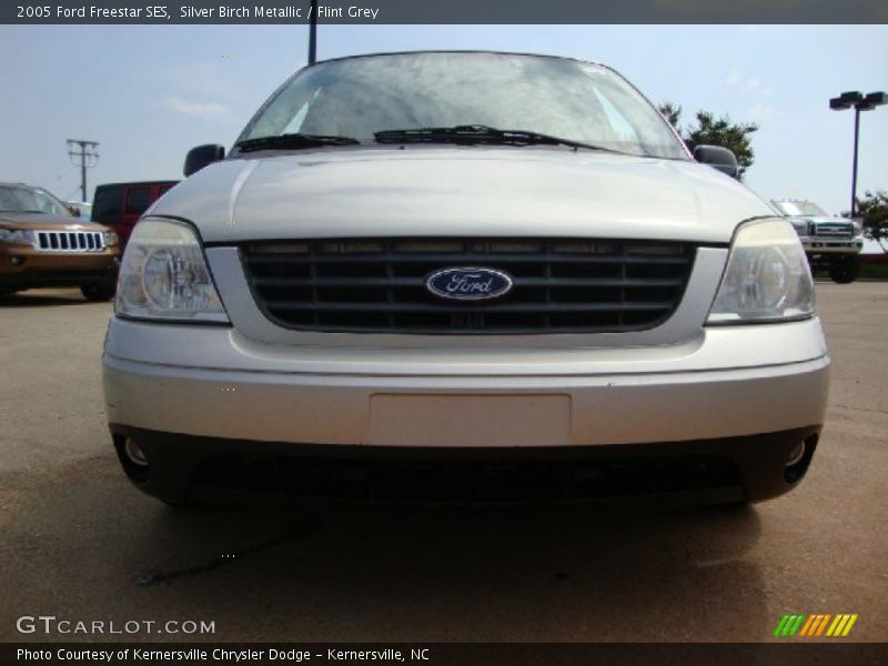 Silver Birch Metallic / Flint Grey 2005 Ford Freestar SES