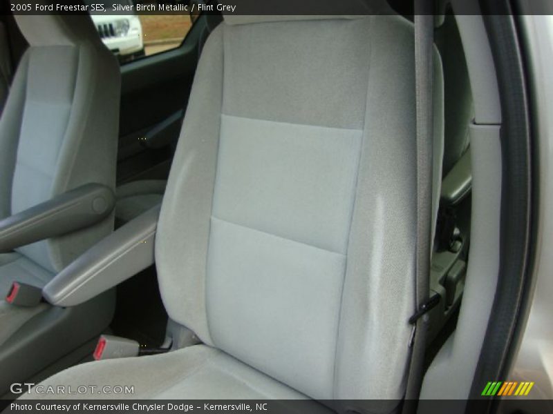 Silver Birch Metallic / Flint Grey 2005 Ford Freestar SES