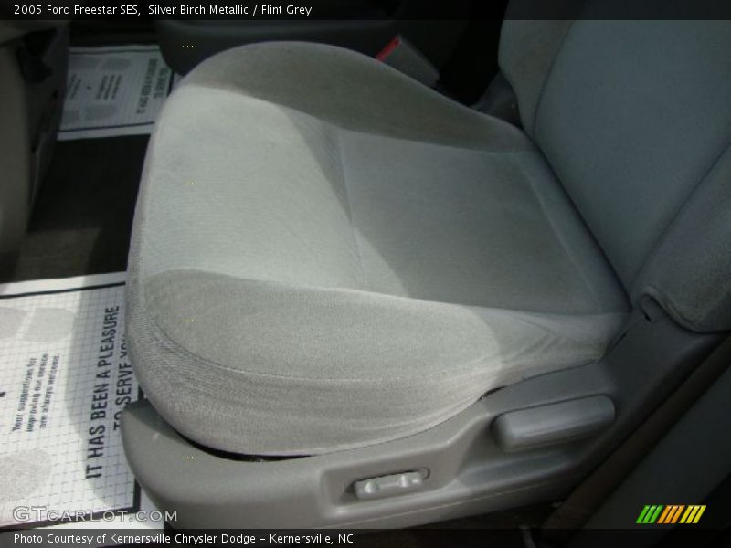 Silver Birch Metallic / Flint Grey 2005 Ford Freestar SES