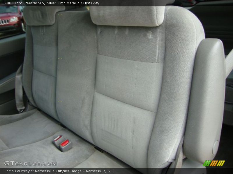 Silver Birch Metallic / Flint Grey 2005 Ford Freestar SES